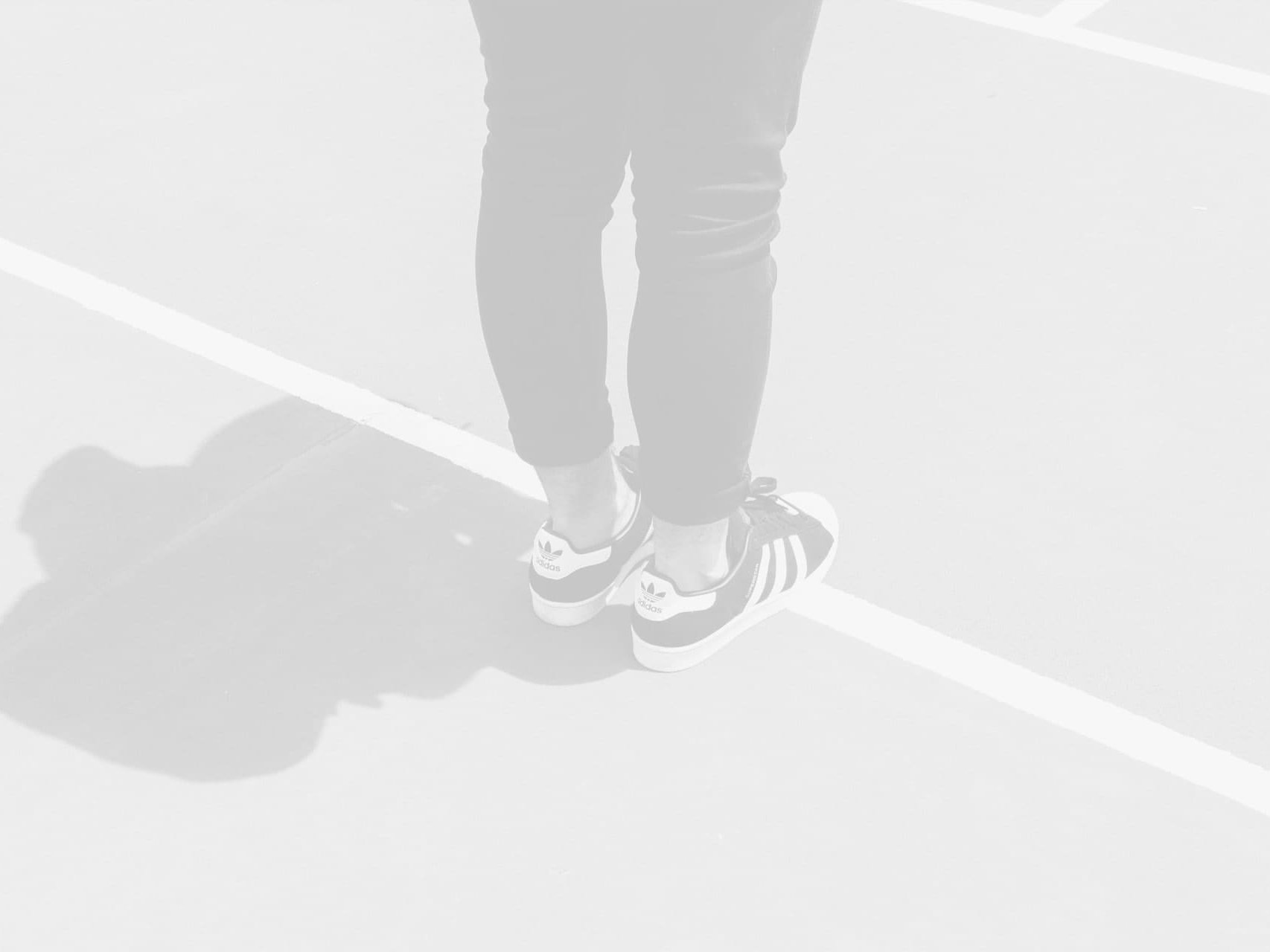 Capture the Beauty of Nature through Photography缩略图